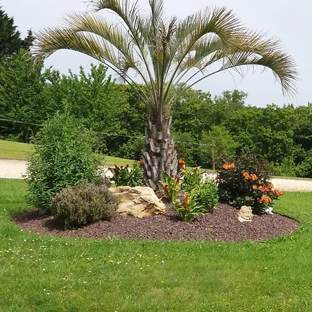 Πανσιόν D'hotes Les Peyrouses