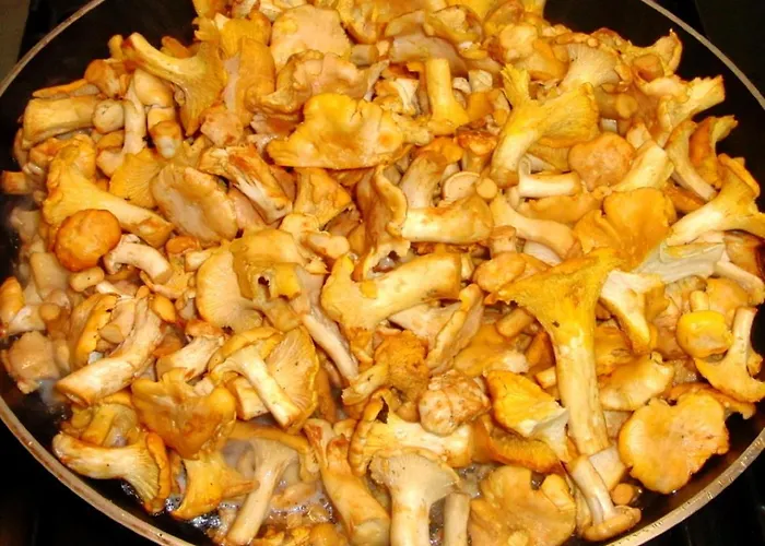 Affittacamere D'hotes Les Peyrouses Sarlat